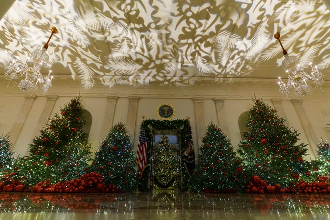 Trees line the Grand Foyer and Cross Hall leading into the Blue Room and the official White House Christmas tree is seen through the doorway at the White House.
