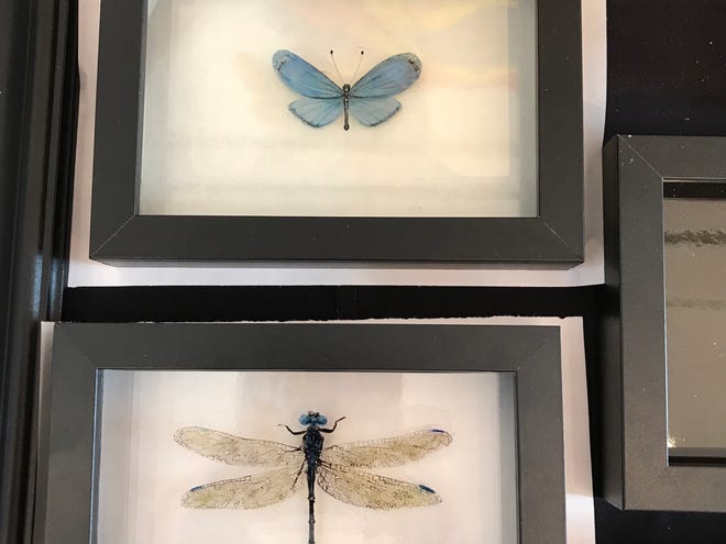 Richard Jenkins hand paints these three-dimensional insects on glass, and they look real. He's also got watercolors that have been featured throughout the country. rjenkinsart.com