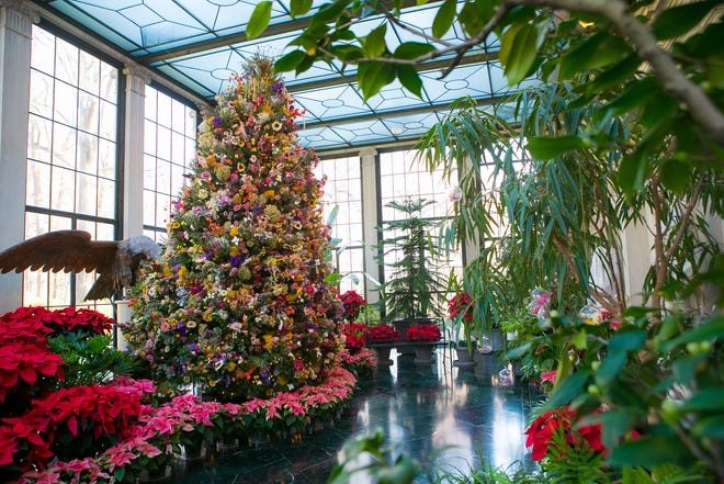 The towering dried flower tree in the conservatory is flanked by several shades of poinsettias during Yuletide at Winterthur, which runs through Jan. 6.
