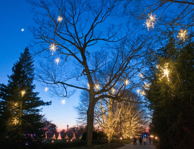 More than 500,000 lights spread over 150 trees light up Longwood Gardens during its 2018 Christmas exhibit.