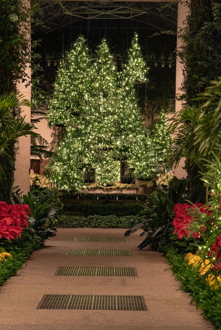 A forest of 17 floating trees. some as high as 30 feet, is one of the centerpiece presentations of the 2018 Longwood Christmas which takes on a theme of "trees reimagined."
