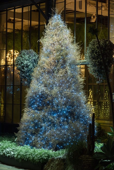 The 12-foot tumbleweed tree, made out of tumbleweeds imported from the American Southwest, decorates the silver garden at Longwood Gardens.
