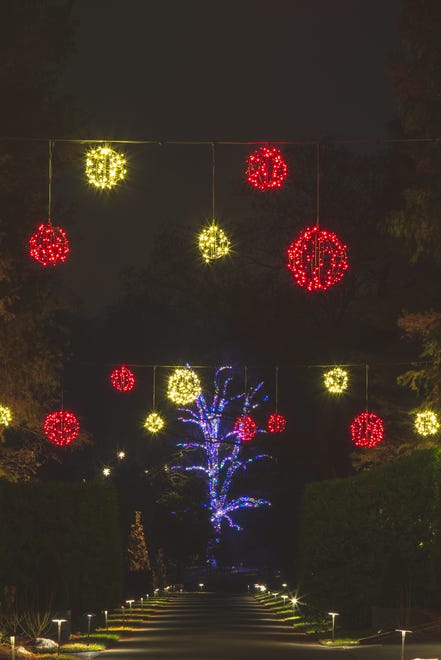 One hundred red and white orbs float above the flower garden walk during A Longwood Christmas in 2018.