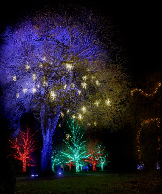 More than 500,000 lights on 150 trees add glitter to the grounds during A Longwood Christmas in 2018.