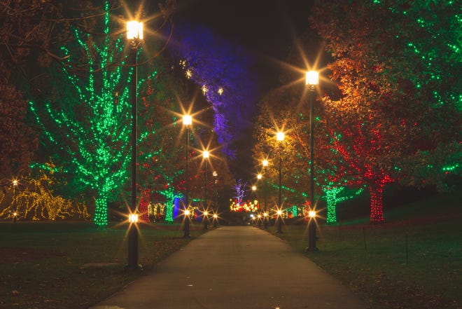 More than 500,000 lights on 150 trees add sparkle to the grounds during A Longwood Christmas in 2018.