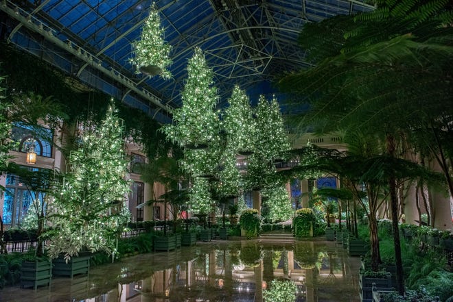 This forest of 17 floating trees glows with white lights at night at A Longwood Christmas.