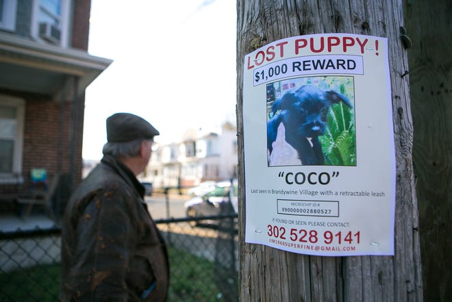 Jim Shanahan and his family members walk around the area of 23rd Street in Wimington putting up signs for the reward of their missing dog Coco, after a vicious pit bull attacked him and the three dogs he was walking on Sunday, killing one of his dog, Elvis, that he recently adopted from the SPCA in the summer.