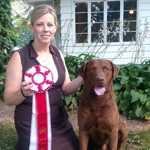 Trio, a Chesapeake Bay retriever owned by Chris and Karen Beste of Wilmington, will compete in the 2020 Westminster Kennel Club Dog Show in New York. He is shown with handler Angela Lloyd. Trio received an award of merit at the 2019 competition and was the No. 1 male Chesapeake Bay retriever in breed in the country for the 2018 season.