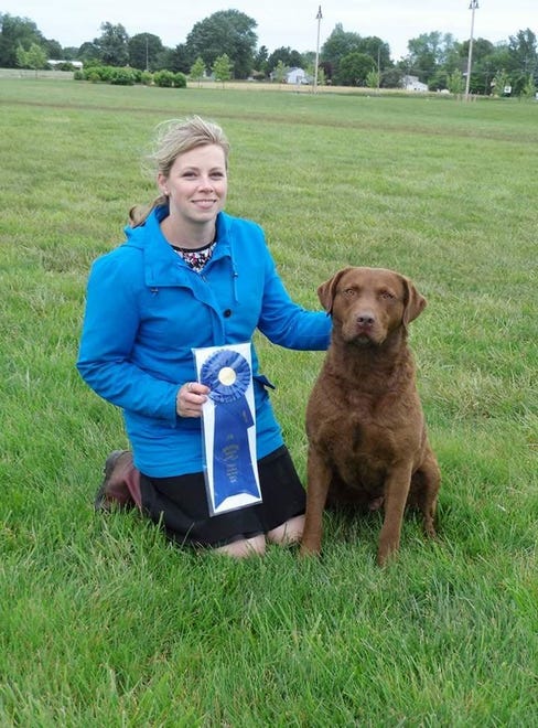 Trio, a Chesapeake Bay retriever owned by Chris and Karen Beste of Wilmington, will compete in the 2019 Westminster Kennel Club Dog Show in New York. He is shown with handler Angela Lloyd. Trio was the No. 1 male Chesapeake Bay retriever in breed in the country for the 2018 season.