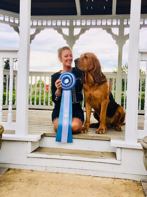 Owen, a bloodhound owned by Rick and Stacie Shriver of Bear, sits with his professional handler, Morgan Mattioli, after competing at the Bloodhound Northeast Regional Speciality in Frederick, Maryland, in September 2018.