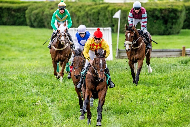 The best riders and horses on the National Steeplechase Association race circuit participate in high stakes racing at the 45th annual Point-to-Point in Winterthur  on Sunday, May 7, 2023. Proceeds from this year's event support environmental and landscape stewardship initiatives.