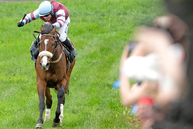 The best riders and horses on the National Steeplechase Association race circuit participate in high stakes racing at the 45th annual Point-to-Point in Winterthur on Sunday, May 7, 2023. Proceeds from this year's event support environmental and landscape stewardship initiatives.
