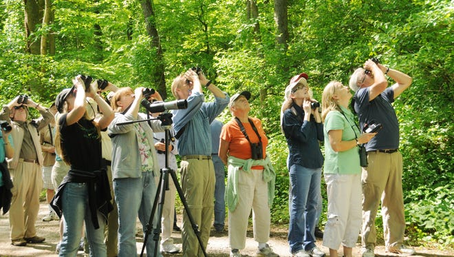 Hundreds of birders are expected to participate in the 12th annual Delaware Bird-A-Thon in early May.