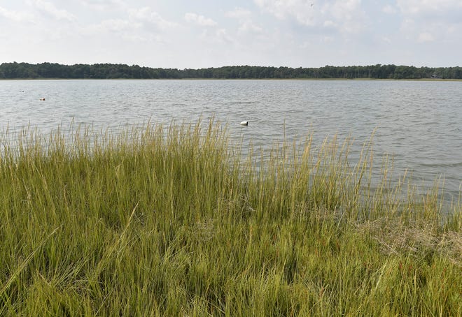 View of a area of marsh in the Rehoboth Bay.