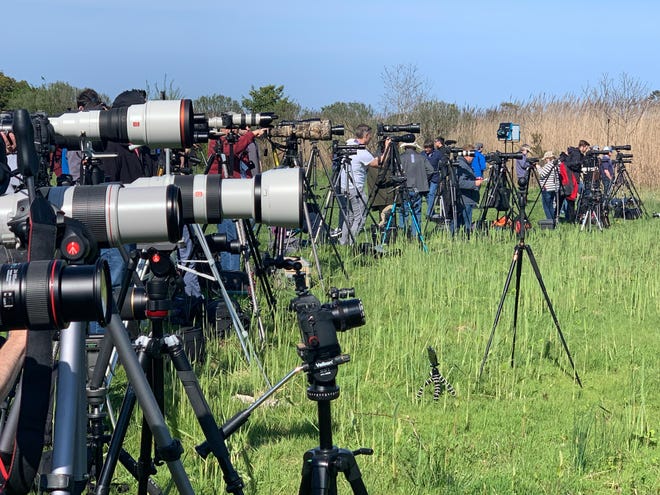 Photographers line the media area during the NG-11 mission, part of Northrop Grumman’s Antares program, was successfully launched at 4:46 p.m. Wednesday, April 17, 2019 at the NASA Wallops Virginia facility.